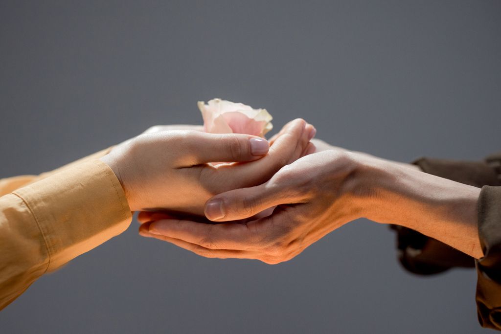Close-up of hands exchanging a delicate rose, symbolizing care and connecting in relationships